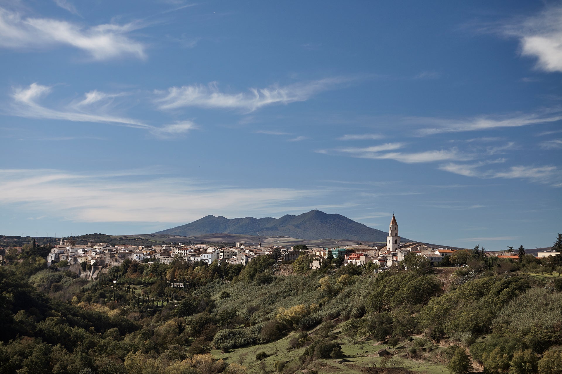 MONTE-VULTURE-BASILICATA-OLIO-ULIVO