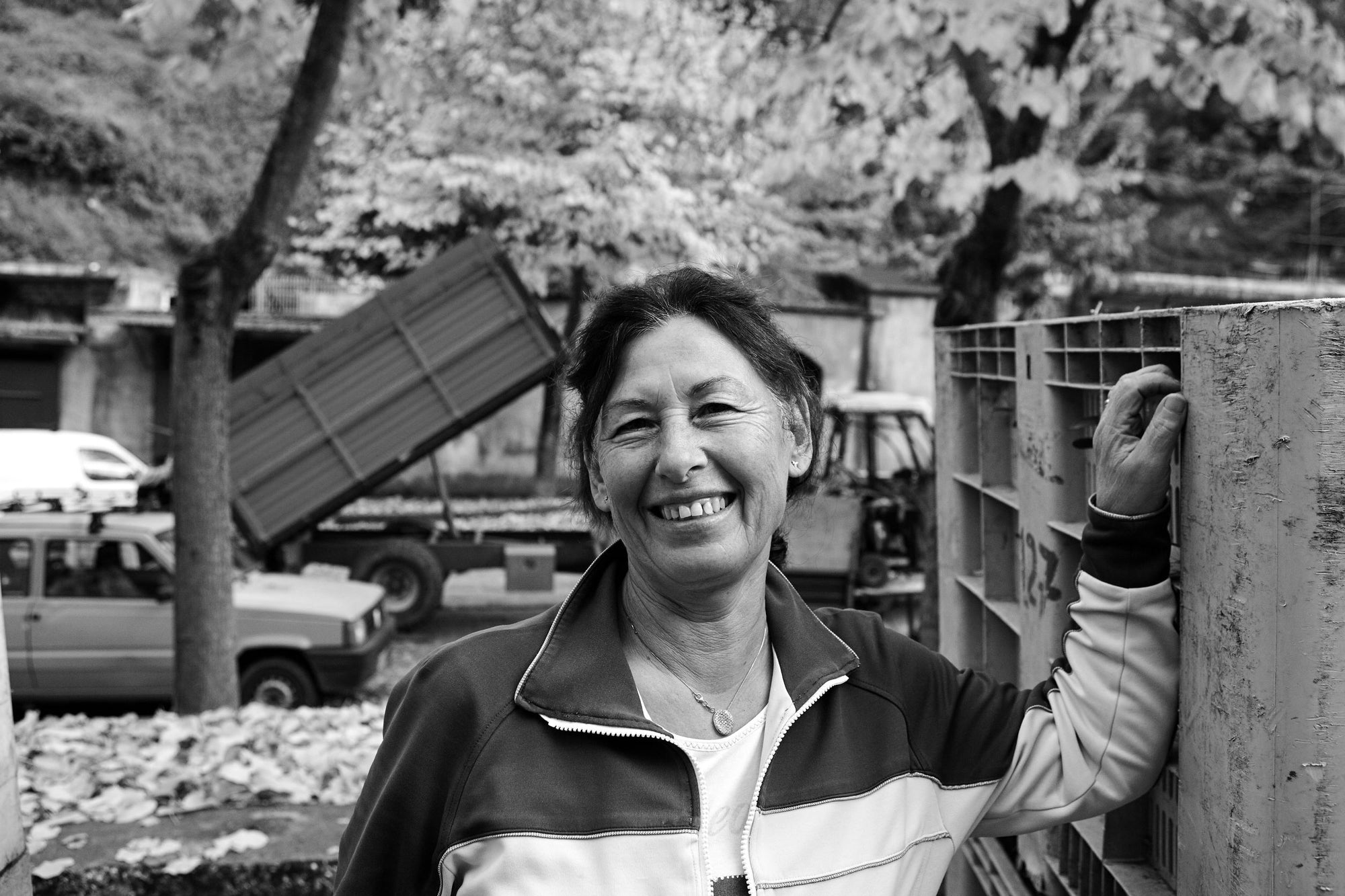 Frantoio-Rapolla-Vulture-Basilicata-olio